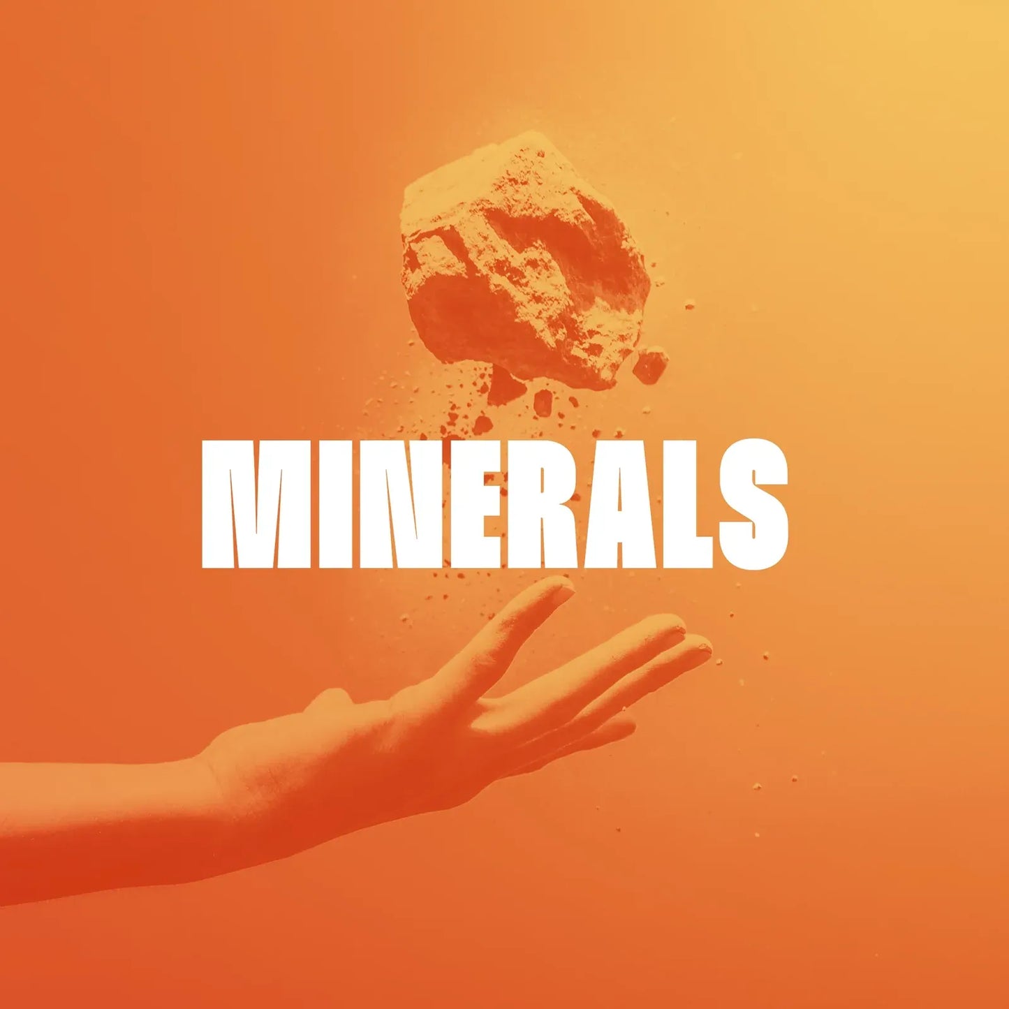 Minerals - Capsules